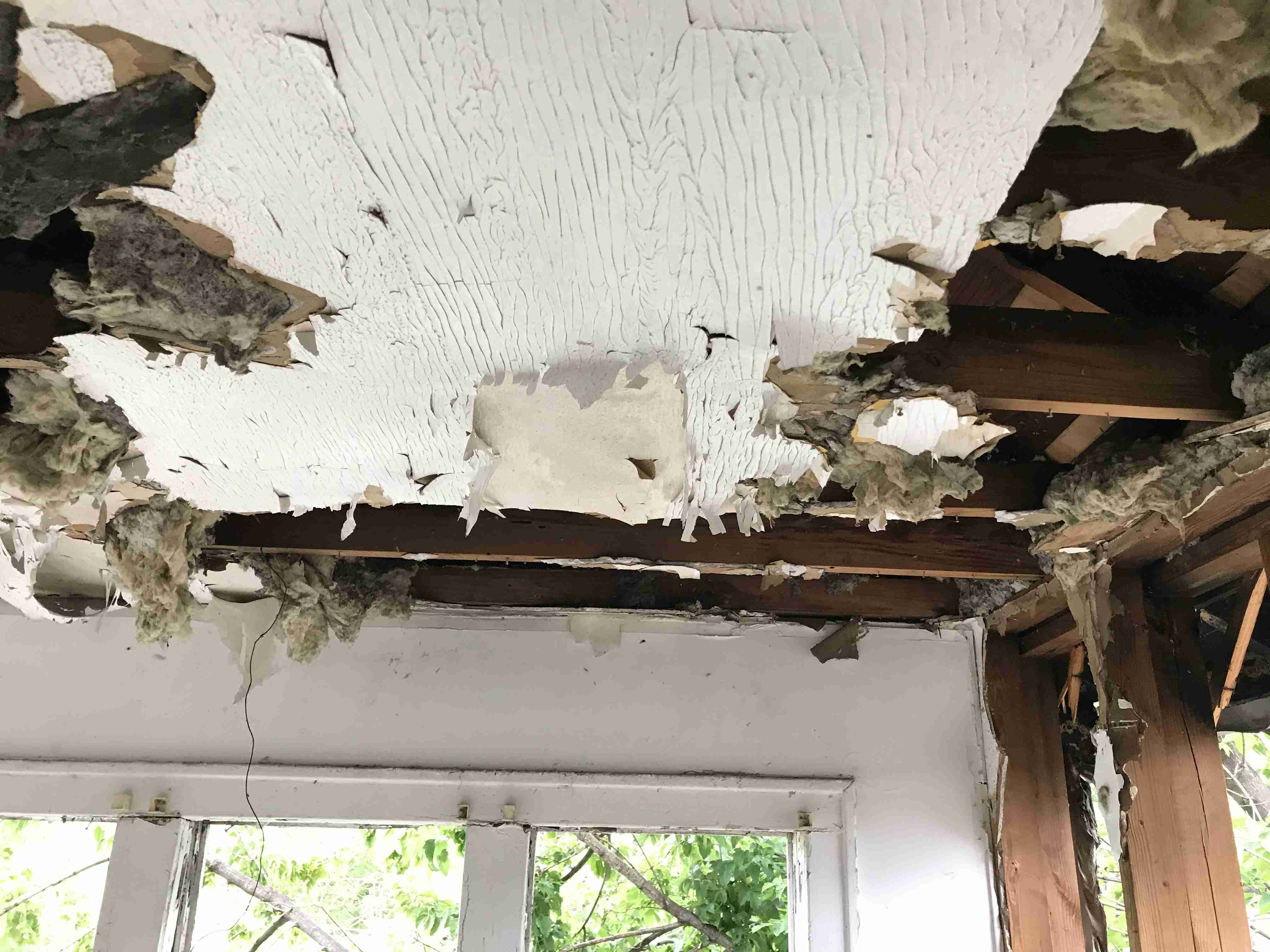 Photo Sep 10, 2 26 53 PM.jpg